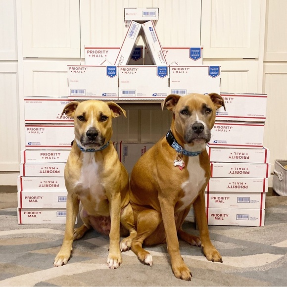 BUNDLE & SAVE ON SHIPPING! 🛍👑🐝 - Picture 16 of 16